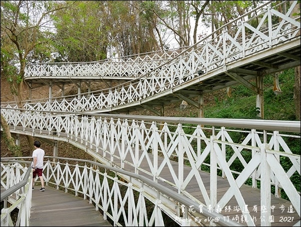 20241125-zn40m