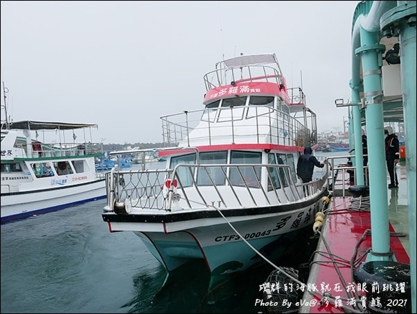 20241125-qq6t5