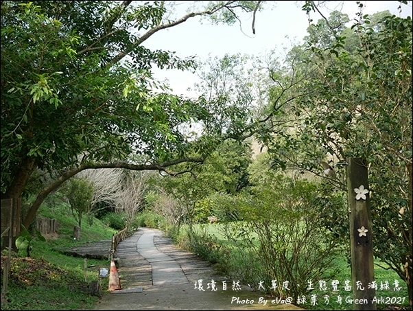 20241125-2py1a