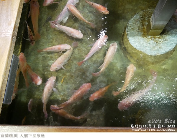 20241125-6ofuj