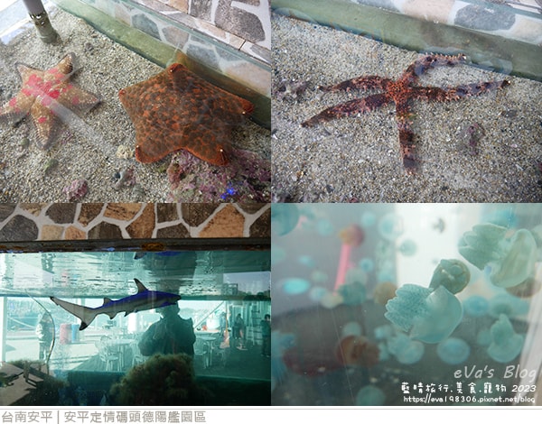 20241125-8jay8