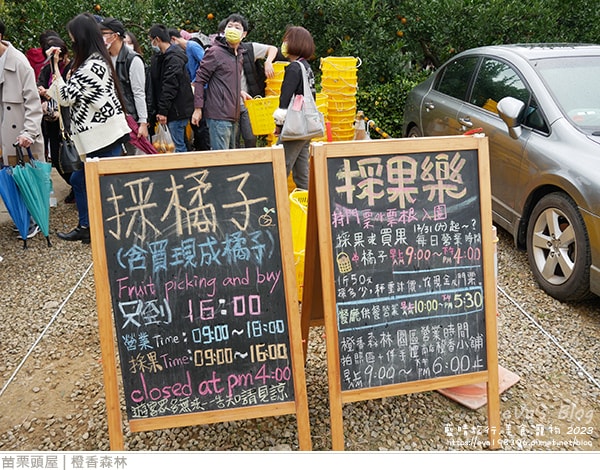 20241125-yvy6v