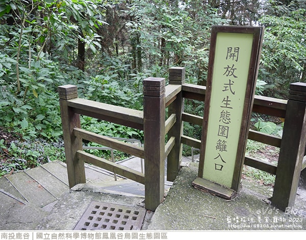 20241125-4ifsa