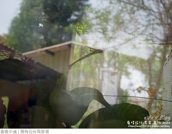 20241125-7qyhi