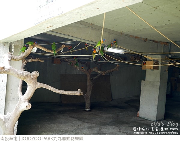 20241125-xwjun