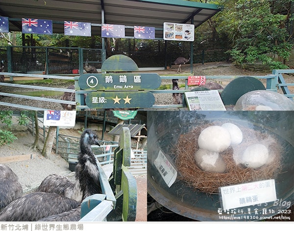 20241125-5s7cg