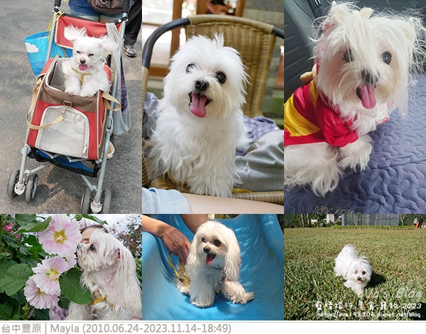20241125-sltzu