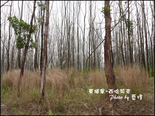 03-007-西哈努克隨拍.jpg