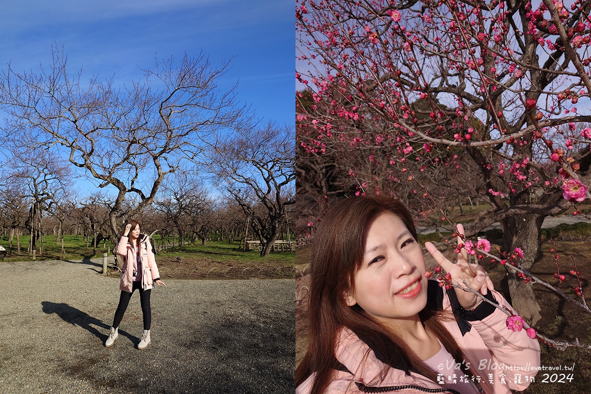 【日本旅遊】偕樂園與金澤兼六園、岡山後樂園齊名為日本三大名園一,以梅花而聞名,種植了100多種多達3000多株的梅花,最佳賞花期是在2月下旬~3月中旬這段時間,春季可以看到梅花、櫻花還有杜鵑。日本景點 - 第30張圖