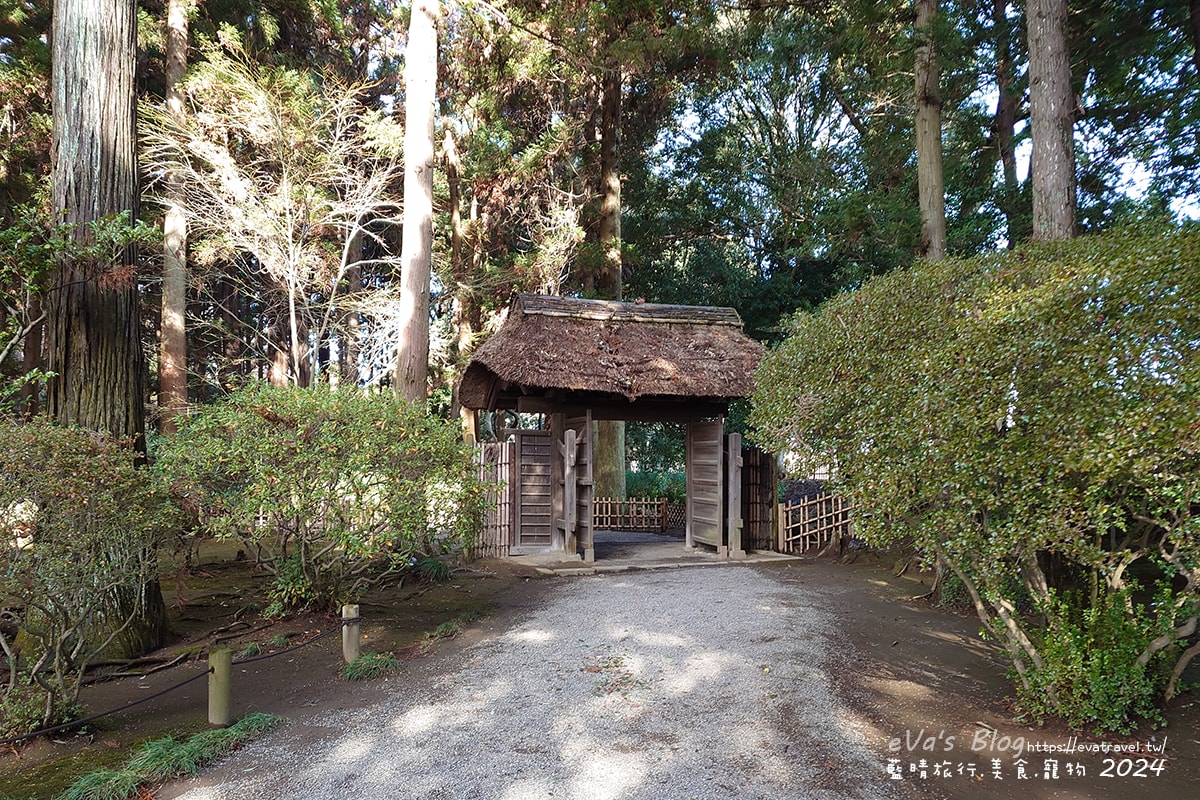 【日本旅遊】偕樂園與金澤兼六園、岡山後樂園齊名為日本三大名園一,以梅花而聞名,種植了100多種多達3000多株的梅花,最佳賞花期是在2月下旬~3月中旬這段時間,春季可以看到梅花、櫻花還有杜鵑。日本景點 - 第37張圖