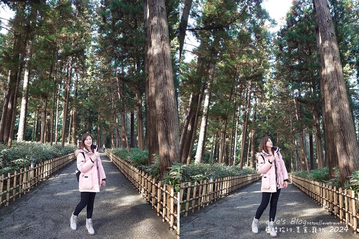 【日本旅遊】偕樂園與金澤兼六園、岡山後樂園齊名為日本三大名園一,以梅花而聞名,種植了100多種多達3000多株的梅花,最佳賞花期是在2月下旬~3月中旬這段時間,春季可以看到梅花、櫻花還有杜鵑。日本景點 - 第39張圖