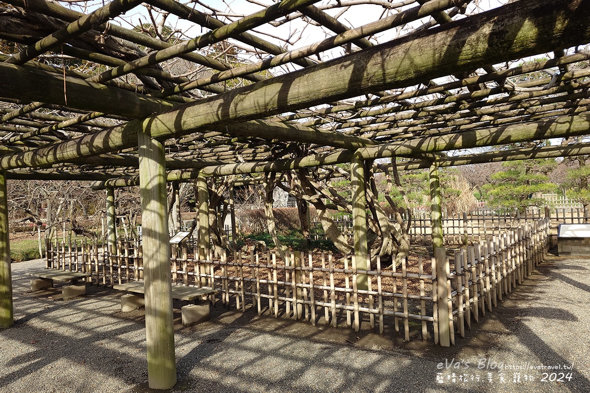 【日本旅遊】偕樂園與金澤兼六園、岡山後樂園齊名為日本三大名園一,以梅花而聞名,種植了100多種多達3000多株的梅花,最佳賞花期是在2月下旬~3月中旬這段時間,春季可以看到梅花、櫻花還有杜鵑。日本景點 - 第40張圖
