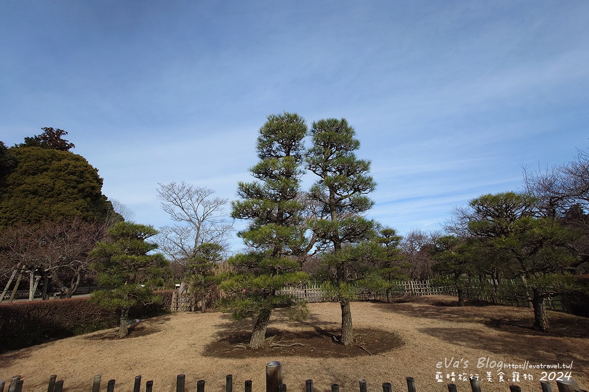 【日本旅遊】偕樂園與金澤兼六園、岡山後樂園齊名為日本三大名園一,以梅花而聞名,種植了100多種多達3000多株的梅花,最佳賞花期是在2月下旬~3月中旬這段時間,春季可以看到梅花、櫻花還有杜鵑。日本景點 - 第42張圖