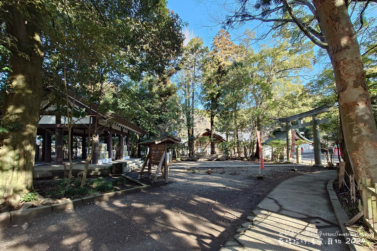 【日本旅遊】偕樂園與金澤兼六園、岡山後樂園齊名為日本三大名園一,以梅花而聞名,種植了100多種多達3000多株的梅花,最佳賞花期是在2月下旬~3月中旬這段時間,春季可以看到梅花、櫻花還有杜鵑。日本景點 - 第4張圖