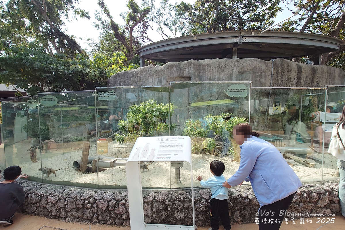 【高雄景點】壽山動物園,園區提供付費小火車搭乘遊園也設置天空廊道與下沉式觀察廊道可以從不同的角度來看動物們不同的一面,究竟是看動物?還是給動物看?。高雄親子旅遊 - 第18張圖