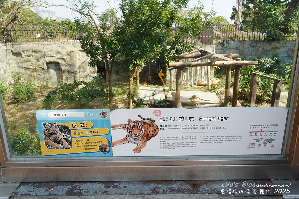 【高雄景點】壽山動物園,園區提供付費小火車搭乘遊園也設置天空廊道與下沉式觀察廊道可以從不同的角度來看動物們不同的一面,究竟是看動物?還是給動物看?。高雄親子旅遊 - 第55張圖