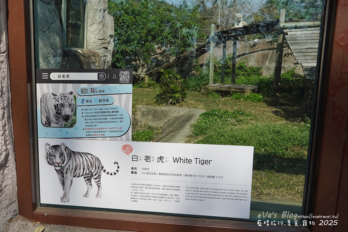 【高雄景點】壽山動物園,園區提供付費小火車搭乘遊園也設置天空廊道與下沉式觀察廊道可以從不同的角度來看動物們不同的一面,究竟是看動物?還是給動物看?。高雄親子旅遊 - 第57張圖
