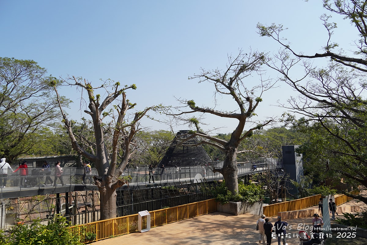 【高雄景點】壽山動物園,園區提供付費小火車搭乘遊園也設置天空廊道與下沉式觀察廊道可以從不同的角度來看動物們不同的一面,究竟是看動物?還是給動物看?。高雄親子旅遊 - 第62張圖