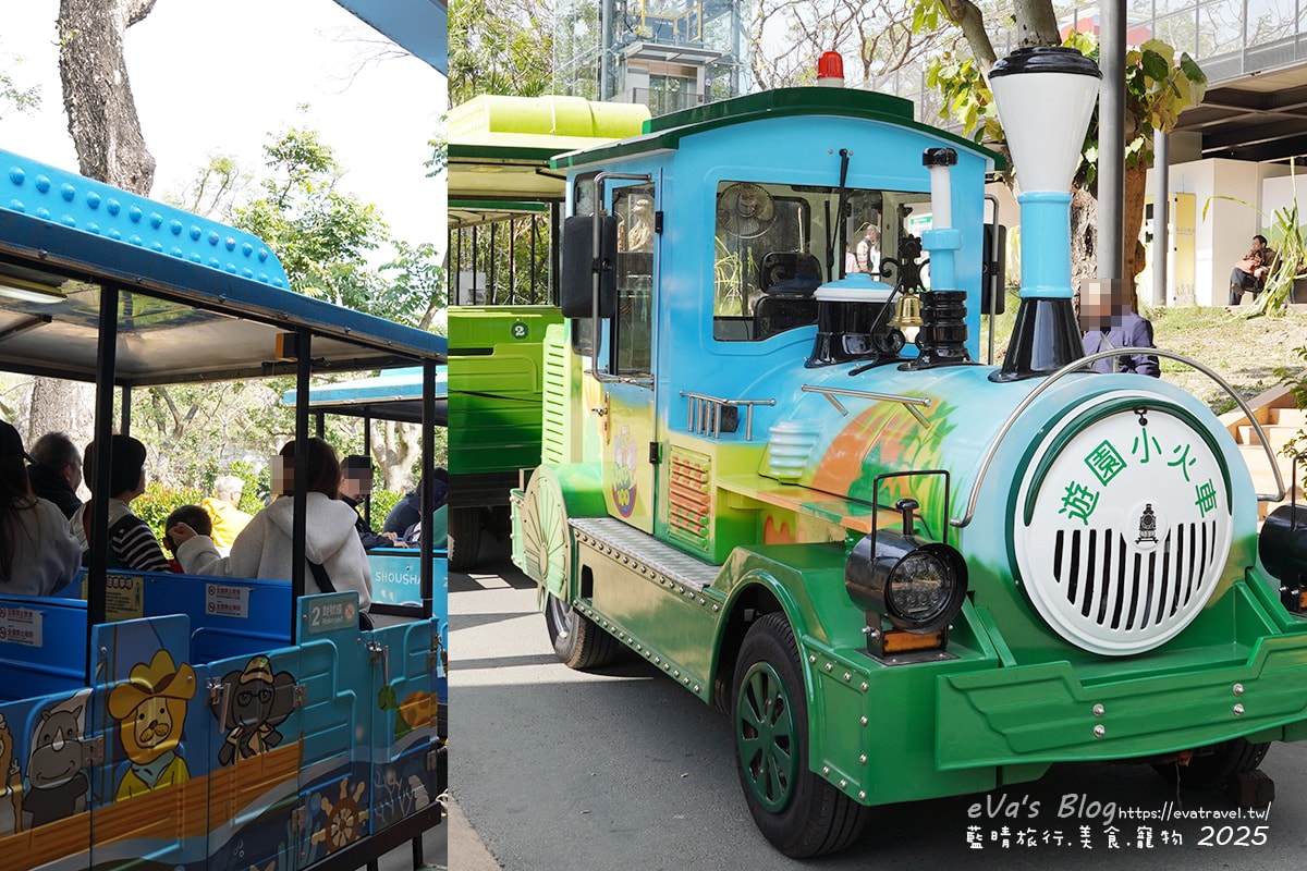 【高雄景點】壽山動物園,園區提供付費小火車搭乘遊園也設置天空廊道與下沉式觀察廊道可以從不同的角度來看動物們不同的一面,究竟是看動物?還是給動物看?。高雄親子旅遊 - 第74張圖