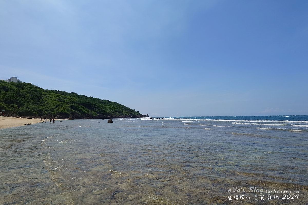 【小琉球景點】蛤板灣有著台版威尼斯沙灘之美稱,海水清澈見底,參與潮間帶活動看見海膽、陽隧足、硨磲貝、海葵、海參等等生物,還可以親手觸摸體驗觸感。小琉球旅行 - 第4張圖