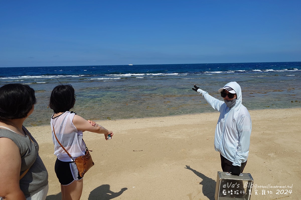 【小琉球景點】蛤板灣有著台版威尼斯沙灘之美稱,海水清澈見底,參與潮間帶活動看見海膽、陽隧足、硨磲貝、海葵、海參等等生物,還可以親手觸摸體驗觸感。小琉球旅行 - 第7張圖