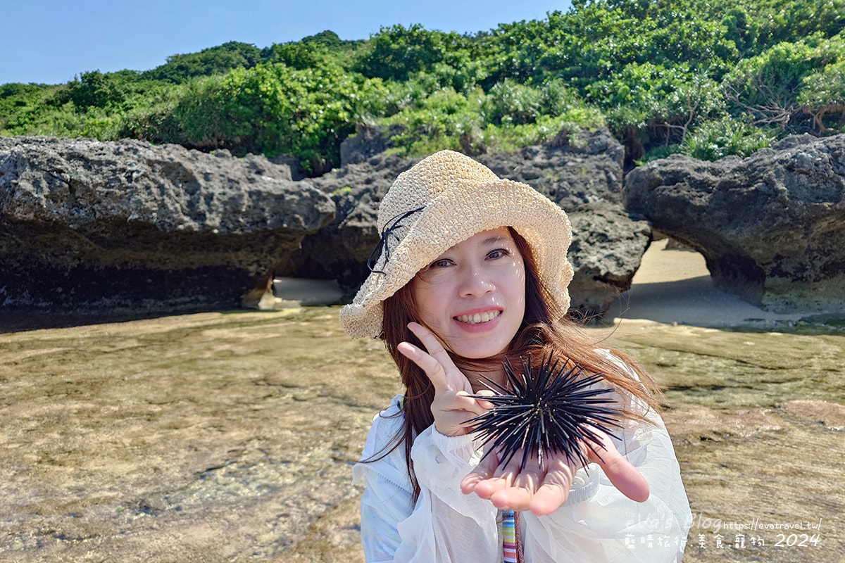 【小琉球景點】蛤板灣有著台版威尼斯沙灘之美稱,海水清澈見底,參與潮間帶活動看見海膽、陽隧足、硨磲貝、海葵、海參等等生物,還可以親手觸摸體驗觸感。小琉球旅行 - 第15張圖