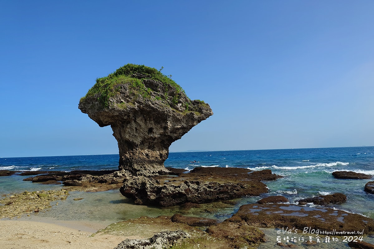 【小琉球景點】花瓶岩是一塊隆起的珊瑚礁石,長期受海水的侵蝕,形狀酷似一個巨大的花瓶,你(妳)覺得花瓶岩看起來像花瓶嗎?我覺得像綠花椰菜、駝鳥、火雞。小琉球旅行 - 第4張圖