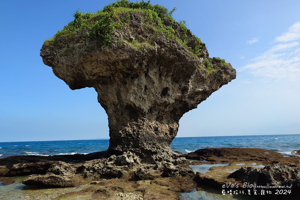 【小琉球景點】花瓶岩是一塊隆起的珊瑚礁石,長期受海水的侵蝕,形狀酷似一個巨大的花瓶,你(妳)覺得花瓶岩看起來像花瓶嗎?我覺得像綠花椰菜、駝鳥、火雞。小琉球旅行 - 第6張圖