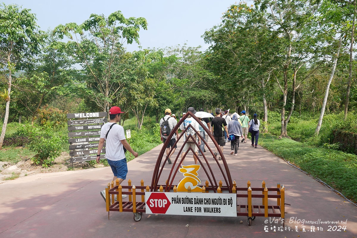 【越南旅遊】美山聖地|越南中部世界文化遺產的古文明遺跡、占婆王國遺址、千年建築技術與傳統舞蹈體驗。越南景點 - 第14張圖