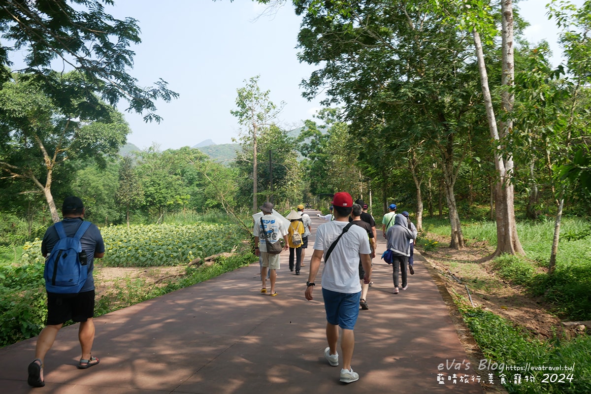 【越南旅遊】美山聖地|越南中部世界文化遺產的古文明遺跡、占婆王國遺址、千年建築技術與傳統舞蹈體驗。越南景點 - 第15張圖