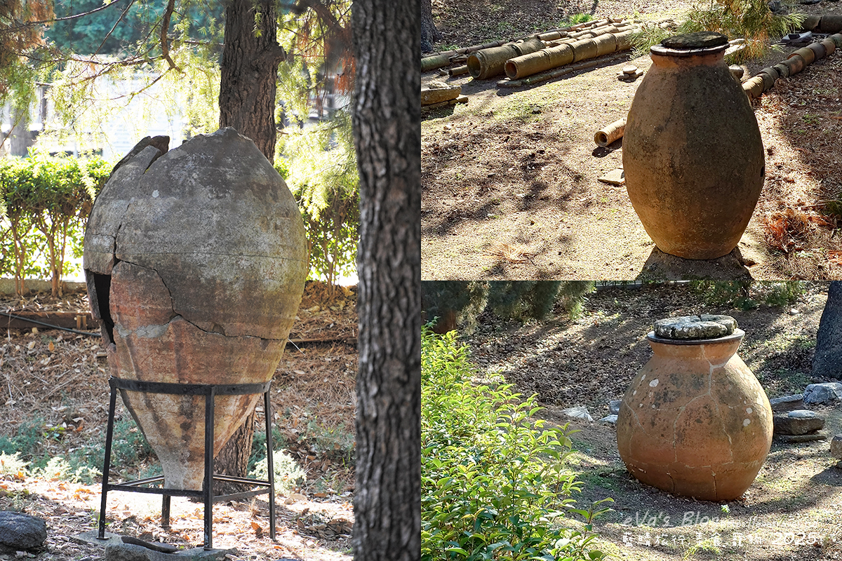 皮托斯花園內的大型陶甕近照，用於糧食儲藏的容器見證古代生活智慧