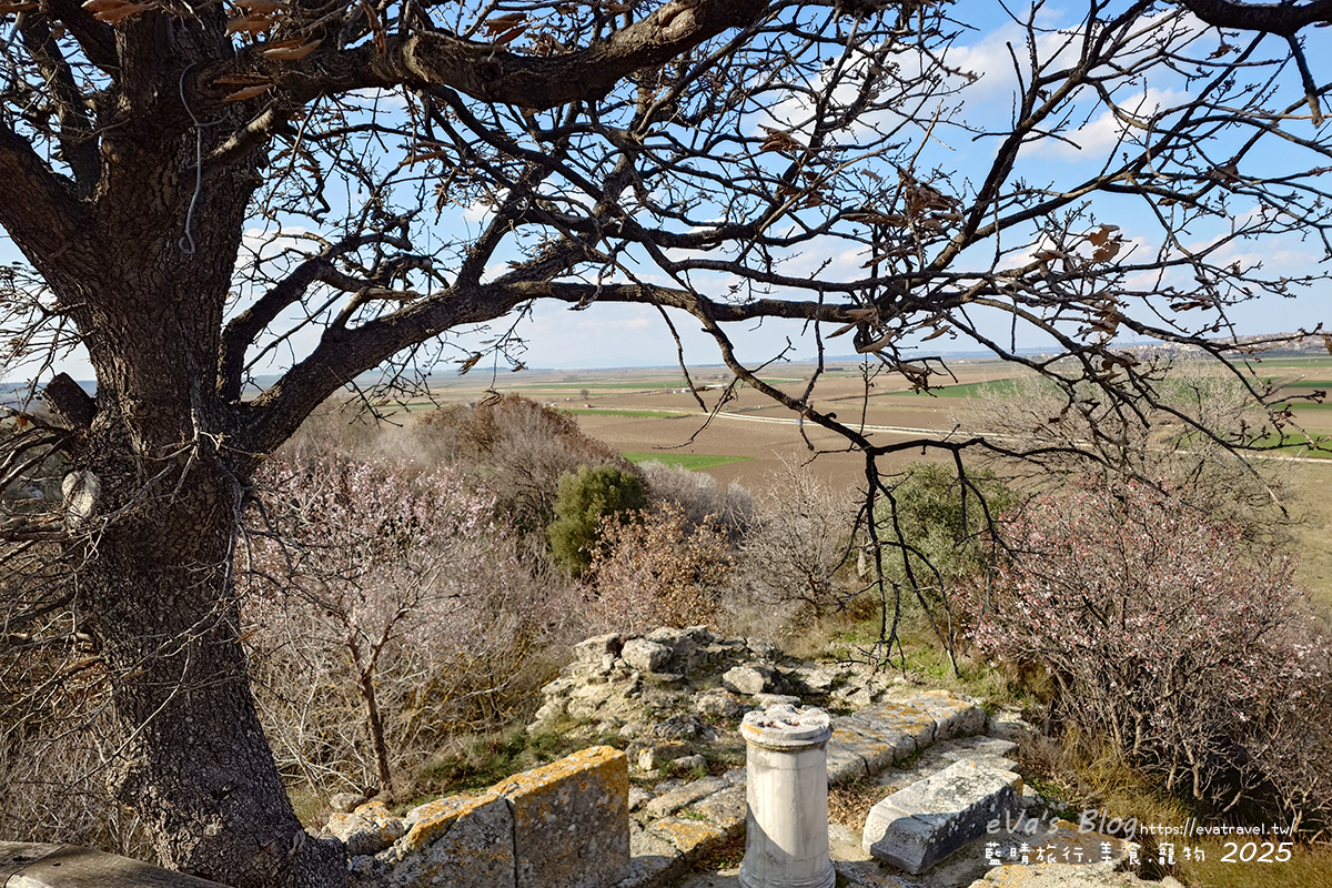 特洛伊戰場一景，遠眺遺址區內的石柱與殘跡全貌