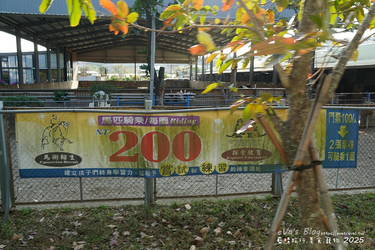 高雄市馬術協會騎乘價目表資訊