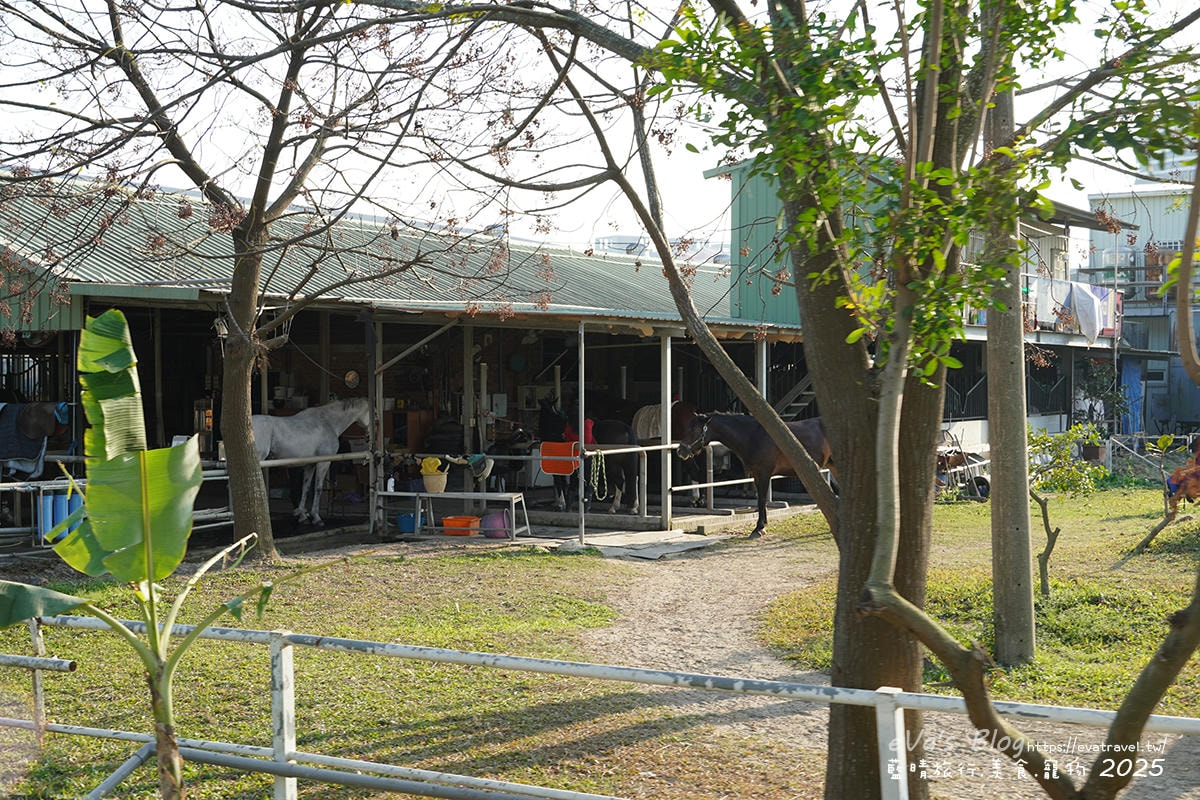 高雄市馬術協會馬場環境實景照1