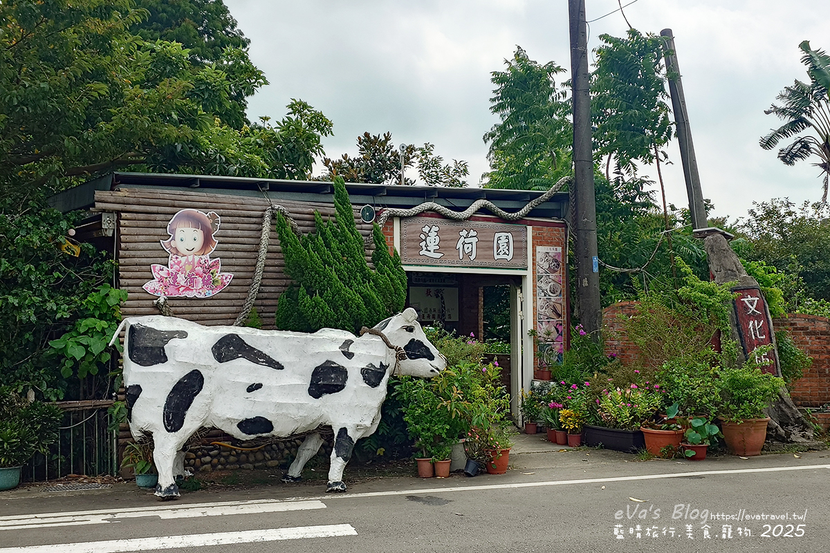 【桃園季節限定】蓮荷園休閒農場|夏日大王蓮體驗、水上漂拍照景點、特色美食洛神花臭豆腐、蓮子豆花。桃園景點 - 第2張圖