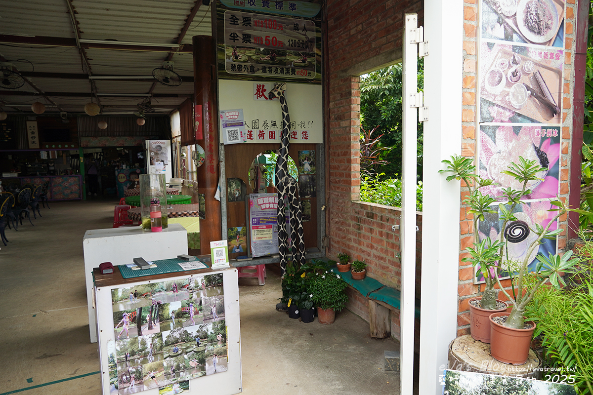 【桃園季節限定】蓮荷園休閒農場|夏日大王蓮體驗、水上漂拍照景點、特色美食洛神花臭豆腐、蓮子豆花。桃園景點 - 第3張圖