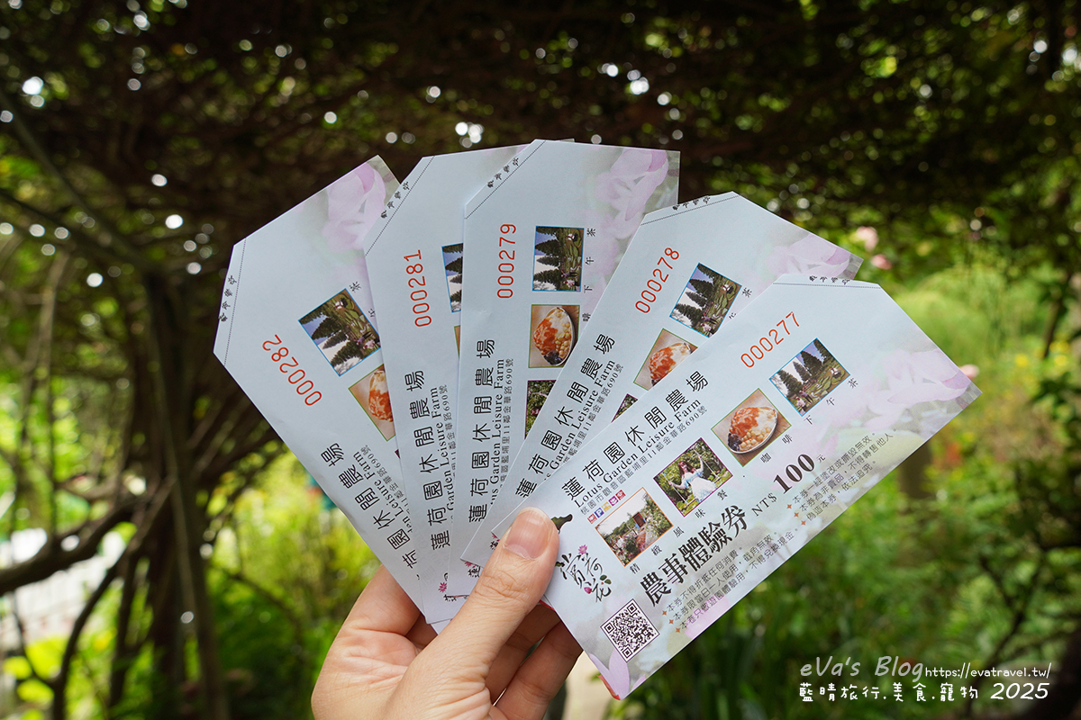 【桃園季節限定】蓮荷園休閒農場|夏日大王蓮體驗、水上漂拍照景點、特色美食洛神花臭豆腐、蓮子豆花。桃園景點 - 第5張圖