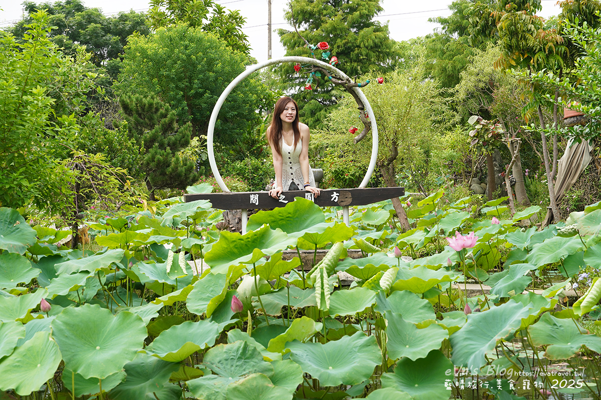 【桃園季節限定】蓮荷園休閒農場|夏日大王蓮體驗、水上漂拍照景點、特色美食洛神花臭豆腐、蓮子豆花。桃園景點 - 第70張圖