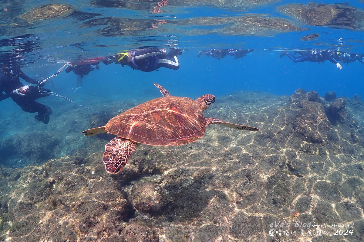 【小琉球水上活動】蟹老闆SUP立槳 & 浮潛雙體驗|與海龜共游、拍網美照一次搞定。小琉球旅行 - 第44張圖