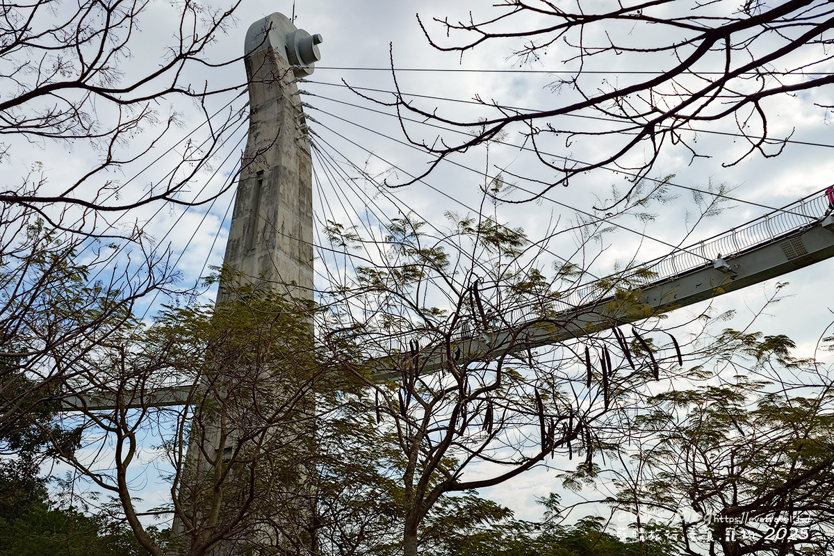 【高雄景點】崗山之眼|以音樂為靈感設計的天空步道,造型如小提琴頭遠眺高雄美景。114年2月10日起休園整建 - 第10張圖