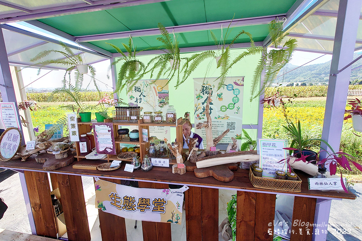 【台中景點】2023臺中國際花毯節x漂浮花都(展期11/11-12/3)(寵物友善景點),一起來尋找漂浮城堡徜徉在五顏六色繽紛花海世界,還有一大片有朝氣向日葵花海!。台中親子旅遊 - 第60張圖 【台中景點】2023臺中國際花毯節x漂浮花都(展期11/11-12/3)(寵物友善景點),一起來尋找漂浮城堡徜徉在五顏六色繽紛花海世界,還有一大片有朝氣向日葵花海!。台中親子旅遊