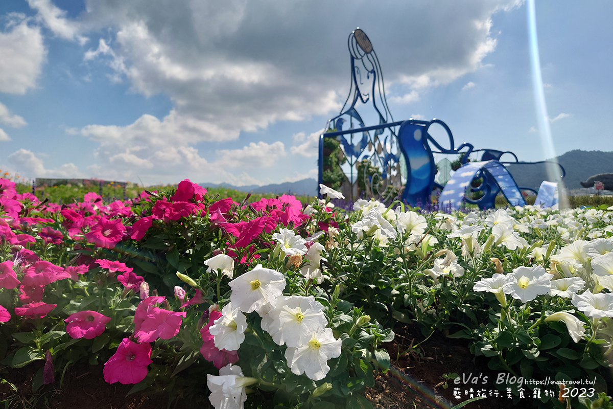 20241125-509vs 【台中景點】2023臺中國際花毯節x漂浮花都(展期11/11-12/3)(寵物友善景點),一起來尋找漂浮城堡徜徉在五顏六色繽紛花海世界,還有一大片有朝氣向日葵花海!。台中親子旅遊