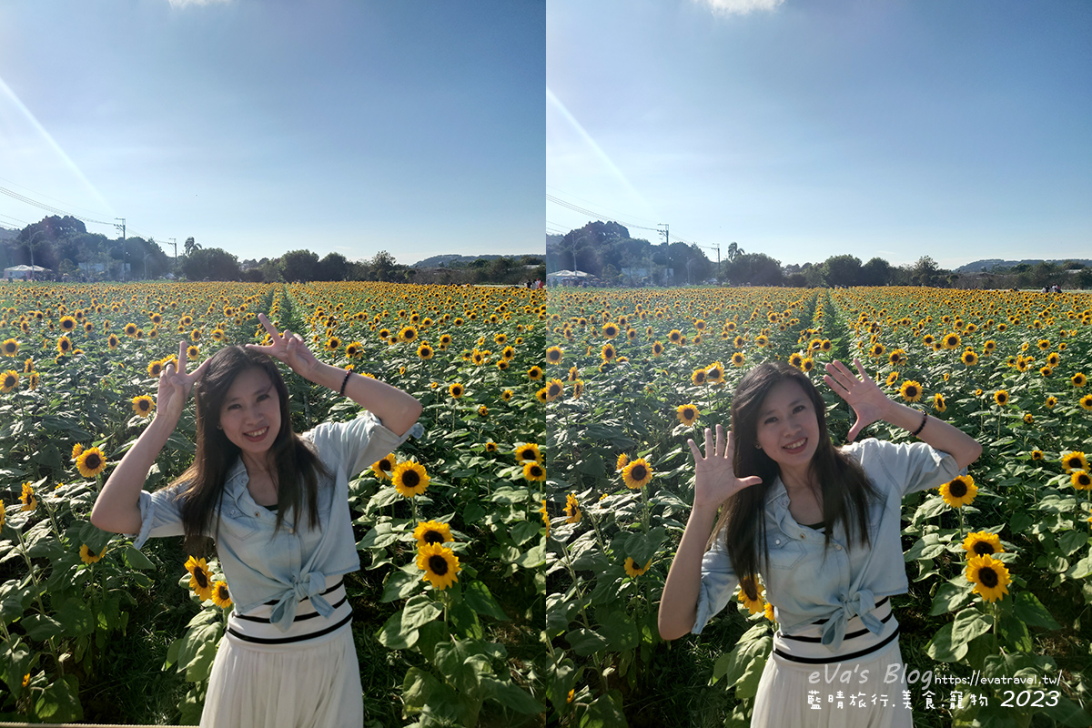 20241125-gn4mf 【台中景點】2023臺中國際花毯節x漂浮花都(展期11/11-12/3)(寵物友善景點),一起來尋找漂浮城堡徜徉在五顏六色繽紛花海世界,還有一大片有朝氣向日葵花海!。台中親子旅遊