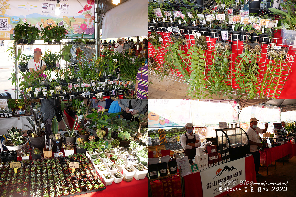 【台中景點】2023臺中國際花毯節x漂浮花都(展期11/11-12/3)(寵物友善景點),一起來尋找漂浮城堡徜徉在五顏六色繽紛花海世界,還有一大片有朝氣向日葵花海!。台中親子旅遊 - 第139張圖 【台中景點】2023臺中國際花毯節x漂浮花都(展期11/11-12/3)(寵物友善景點),一起來尋找漂浮城堡徜徉在五顏六色繽紛花海世界,還有一大片有朝氣向日葵花海!。台中親子旅遊