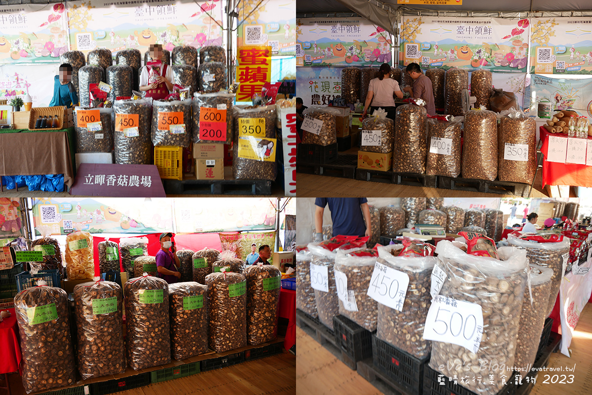 【台中景點】2023臺中國際花毯節x漂浮花都(展期11/11-12/3)(寵物友善景點),一起來尋找漂浮城堡徜徉在五顏六色繽紛花海世界,還有一大片有朝氣向日葵花海!。台中親子旅遊 - 第141張圖 【台中景點】2023臺中國際花毯節x漂浮花都(展期11/11-12/3)(寵物友善景點),一起來尋找漂浮城堡徜徉在五顏六色繽紛花海世界,還有一大片有朝氣向日葵花海!。台中親子旅遊