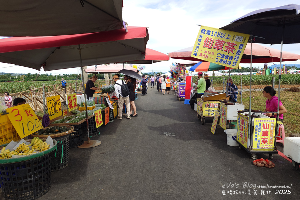 【台中景點】2025臺中國際花毯節|花城任務 × 飛天小女警(展期11/08–11/30,寵物友善)漸層花海打造繽紛色彩世界。台中親子旅遊 - 第2張圖