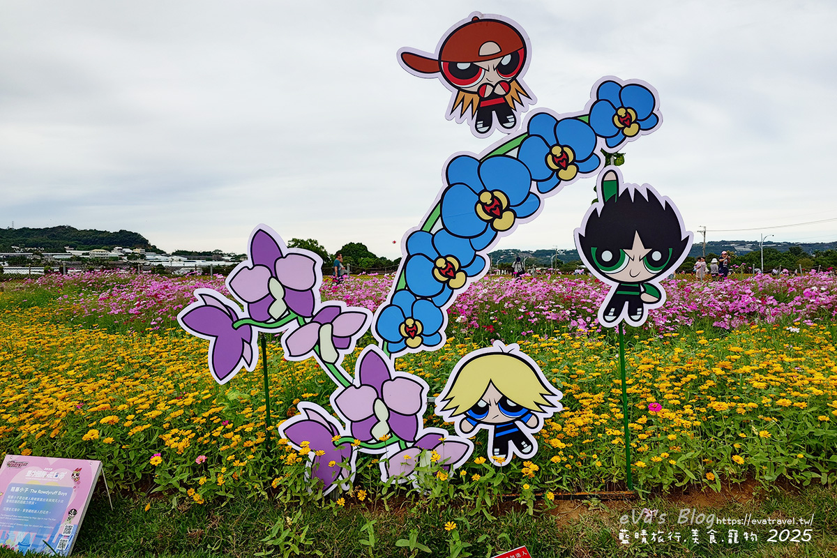 【台中景點】2025臺中國際花毯節|花城任務 × 飛天小女警(展期11/08–11/30,寵物友善)漸層花海打造繽紛色彩世界。台中親子旅遊 - 第72張圖