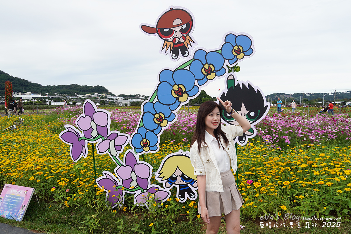 【台中景點】2025臺中國際花毯節|花城任務 × 飛天小女警(展期11/08–11/30,寵物友善)漸層花海打造繽紛色彩世界。台中親子旅遊 - 第73張圖