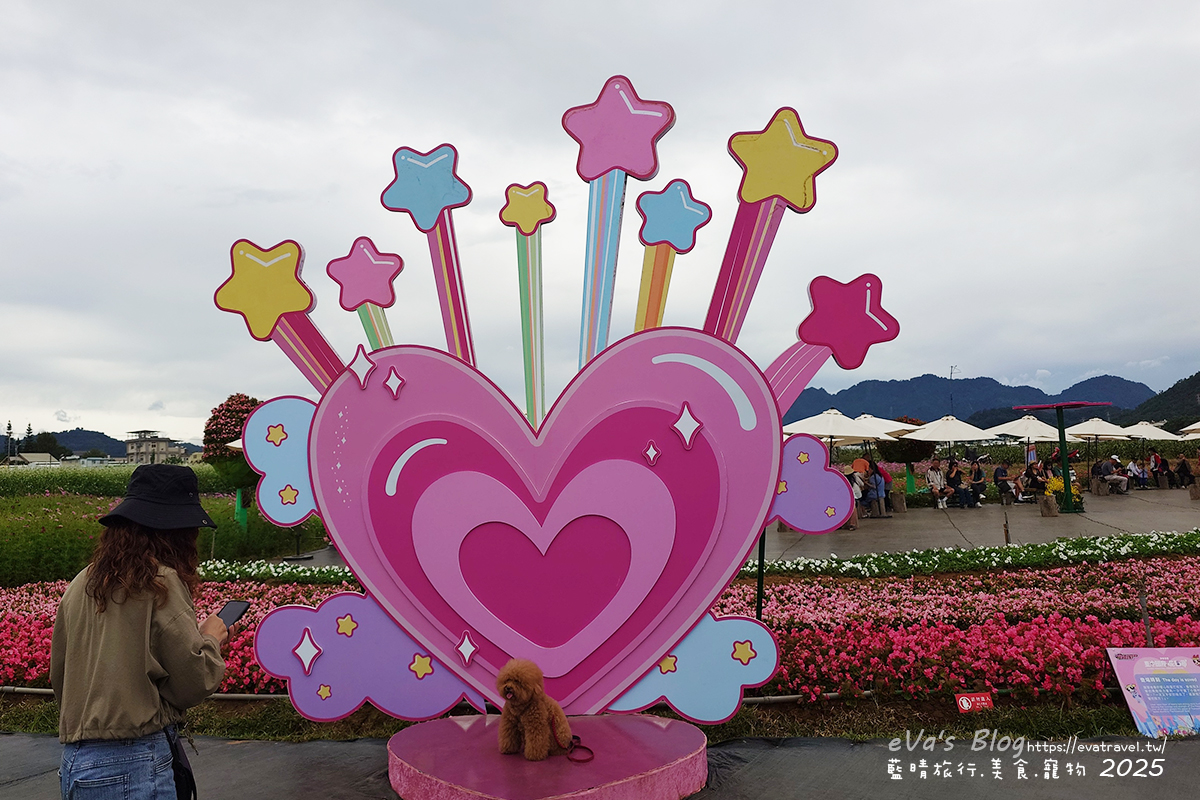 【台中景點】2025臺中國際花毯節|花城任務 × 飛天小女警(展期11/08–11/30,寵物友善)漸層花海打造繽紛色彩世界。台中親子旅遊 - 第78張圖