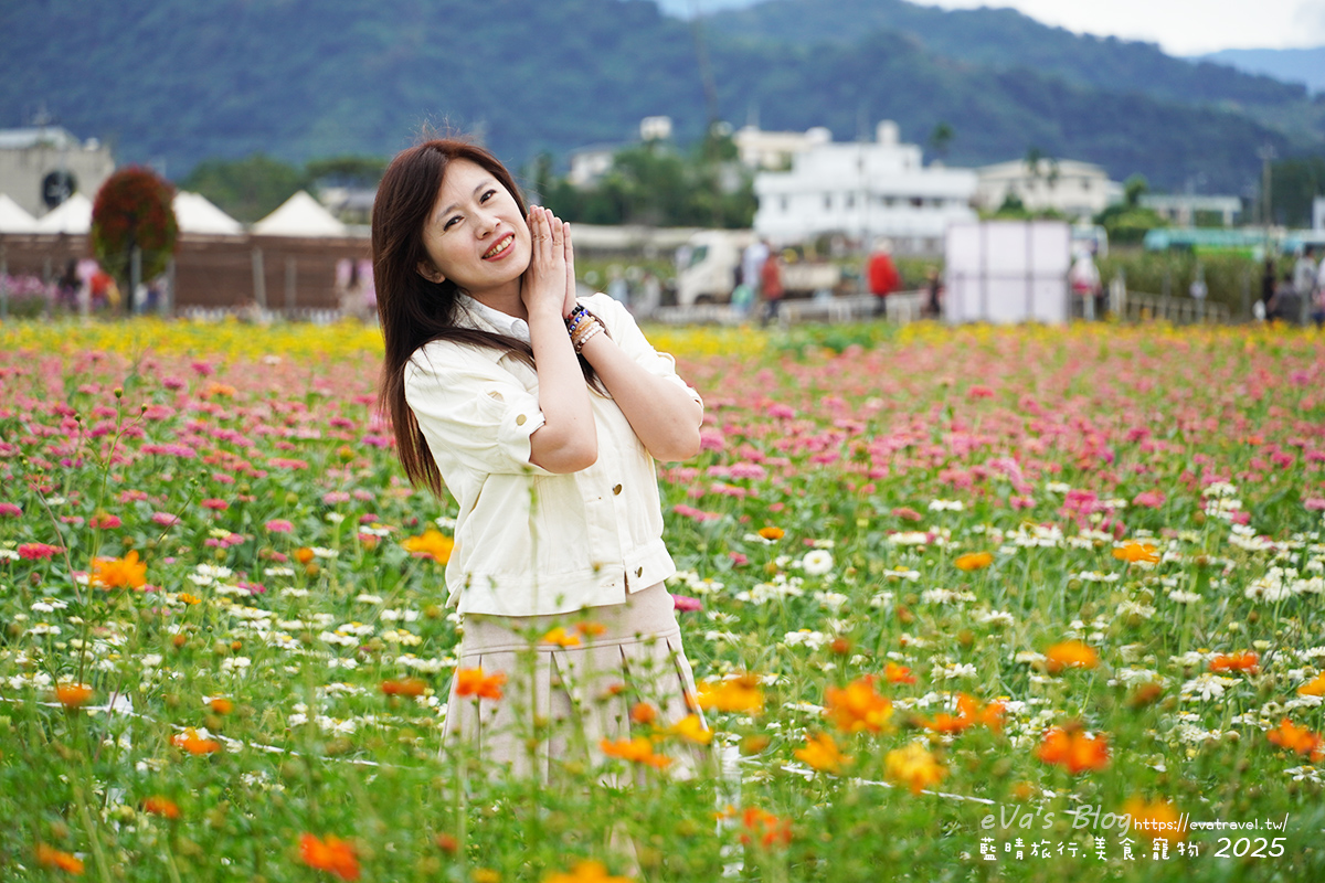 【台中景點】2025臺中國際花毯節|花城任務 × 飛天小女警(展期11/08–11/30,寵物友善)漸層花海打造繽紛色彩世界。台中親子旅遊 - 第121張圖 我在百日草花海區裡拍照2